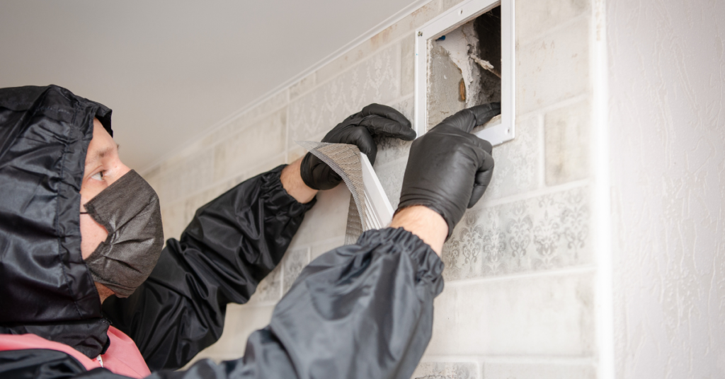 How Indoor Air Pollution Affects Employee Health and Productivity