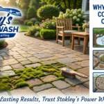 Why Moss Keeps Coming Back on Pavers