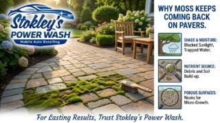 Why Moss Keeps Coming Back on Pavers
