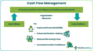 Cash Flow Management Services for Business Stability